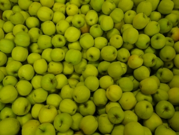 Pomme Golden Leratess