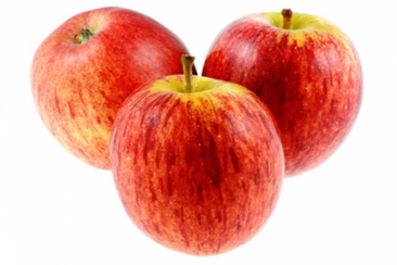 Pomme Reine des Reinettes