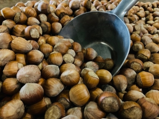 Noisettes s&egrave;ches