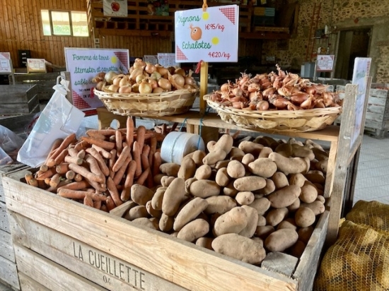 l&eacute;gumes pomme de terre carotte oignon echalote