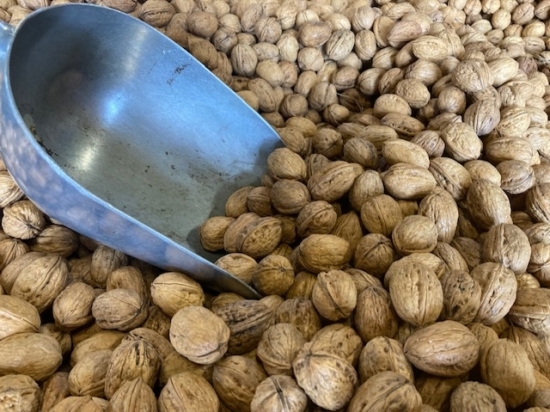 Noix s&egrave;ches du Maine et Loire