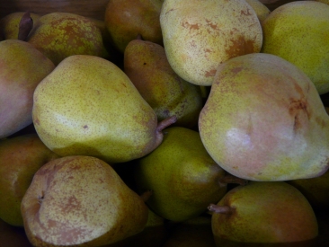 Poire Beurr&eacute; Hardy